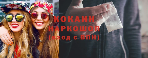 трава Ельня
