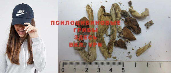 дмт Елизово