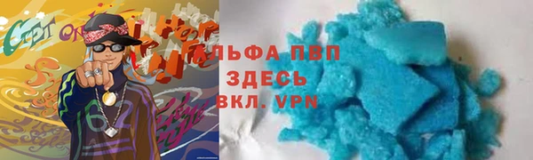 трава Ельня
