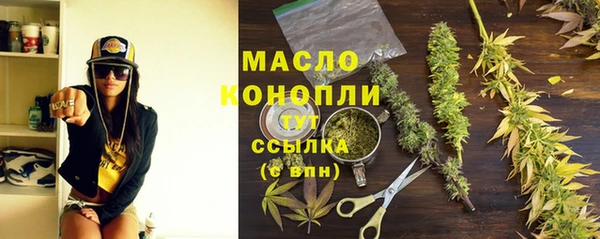 трава Ельня