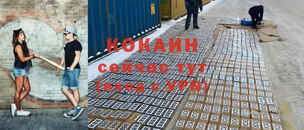 трава Ельня