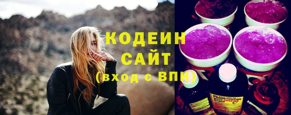 трава Ельня