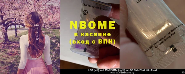 дмт Елизово