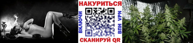 Бошки Шишки марихуана  Кадников 